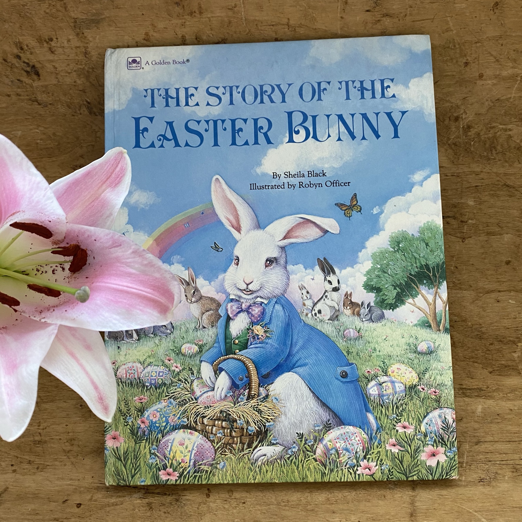 the story of the easter bunny brookesbookshop
