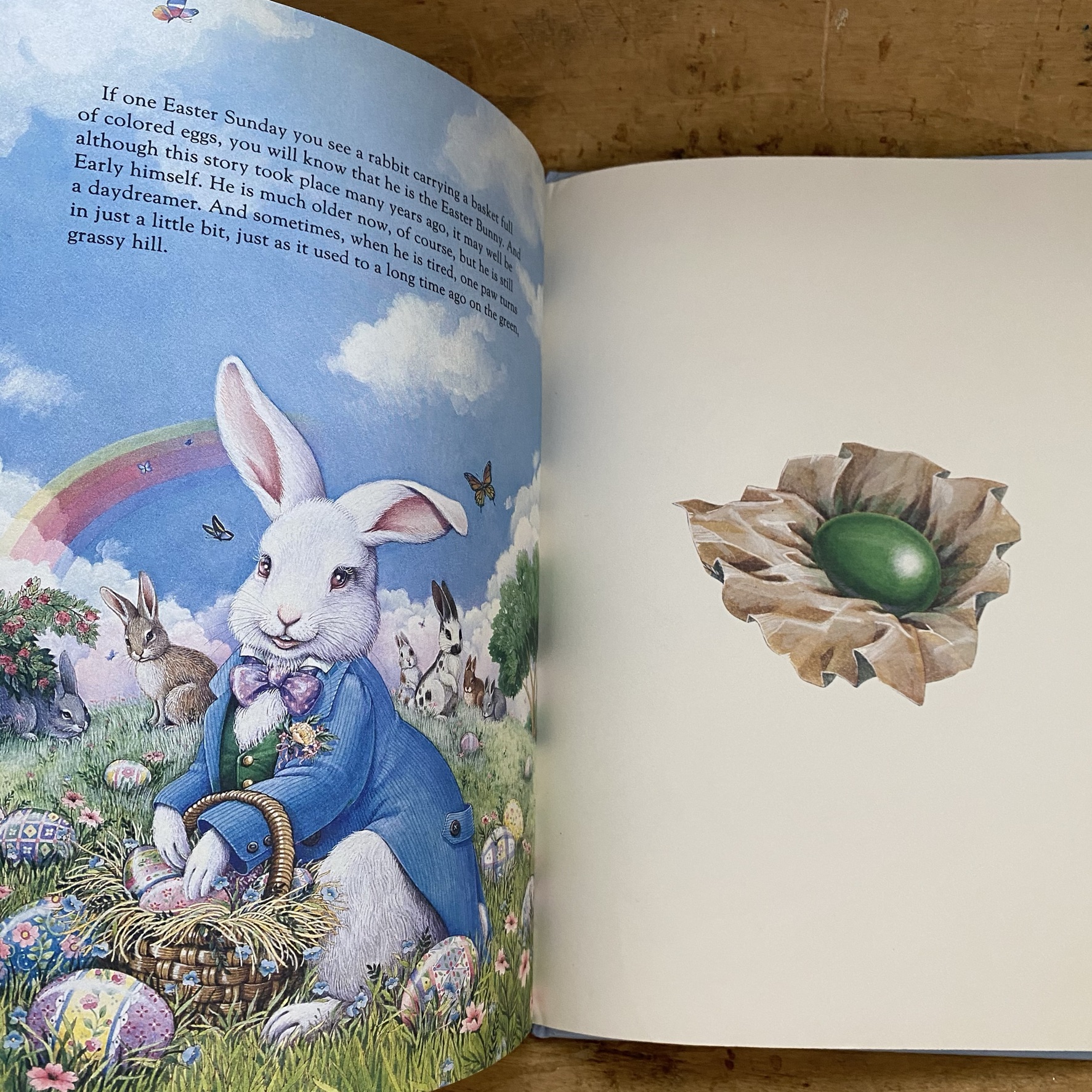 the story of the easter bunny brookesbookshop